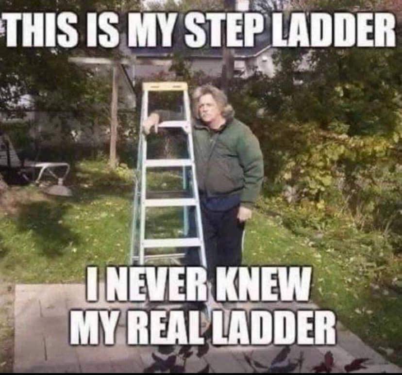 Step-ladder-humor-(420Gangsta.ca).jpg