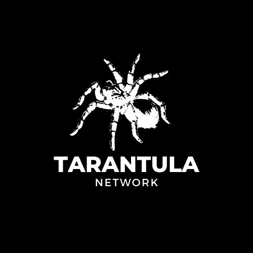 Tarantula.png
