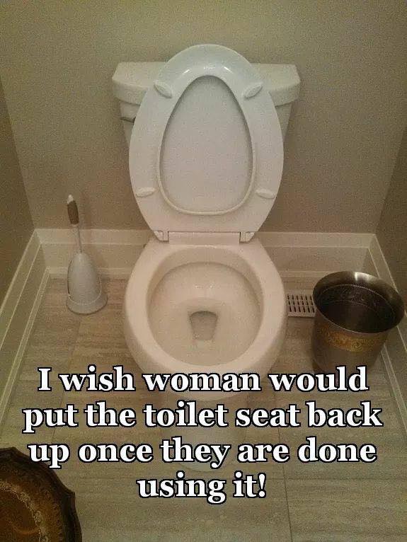 Toilet_seat_humor_(myway2fortune.info).jpg
