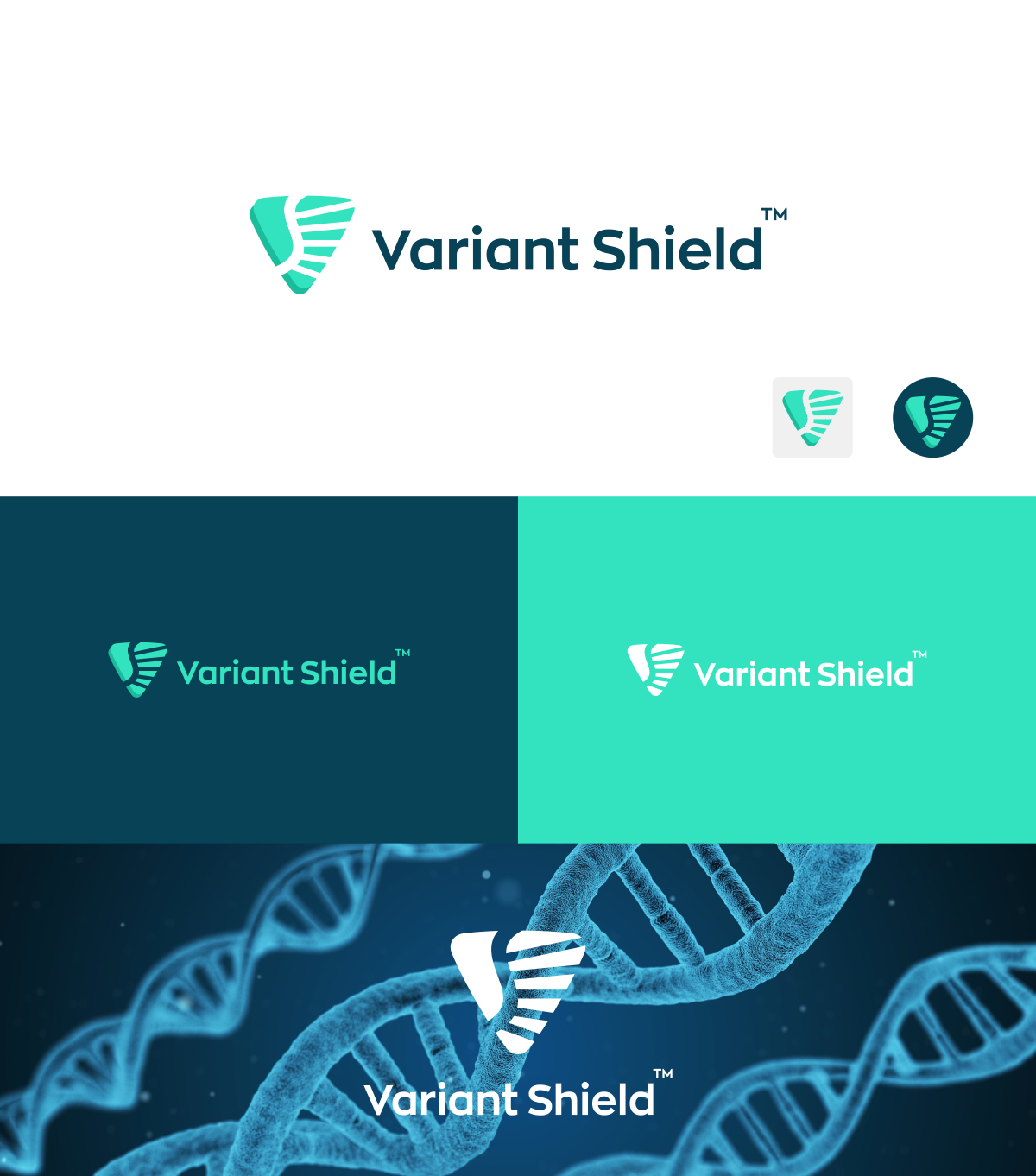 Variant_Shield_01.png