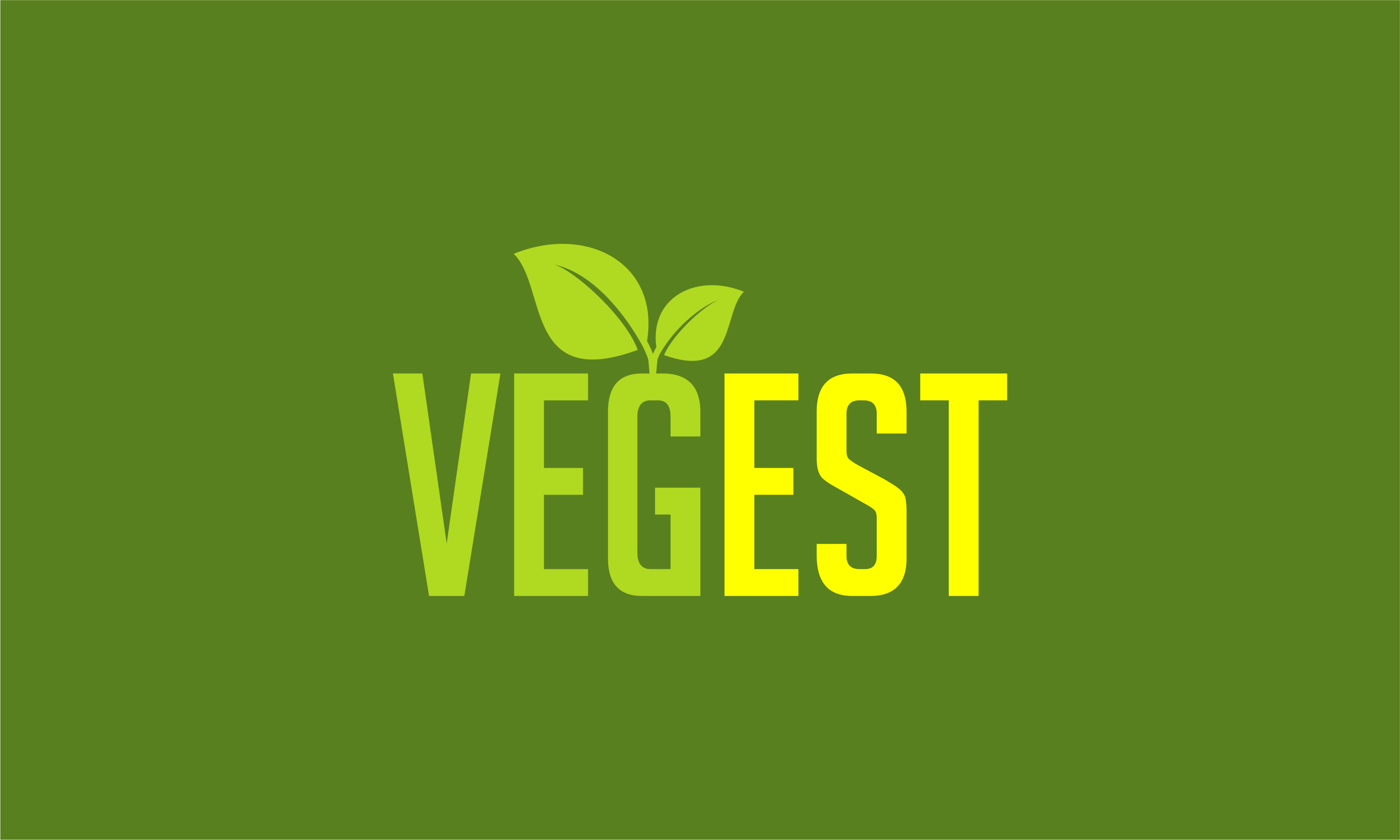 vegest1.png