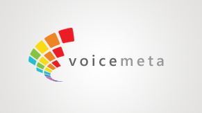 voice-meta-logo.png