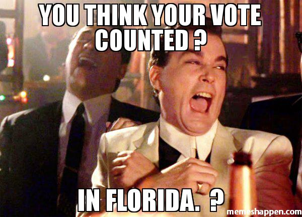 you-think-your-vote-counted--in-florida--meme-45115[1].jpg